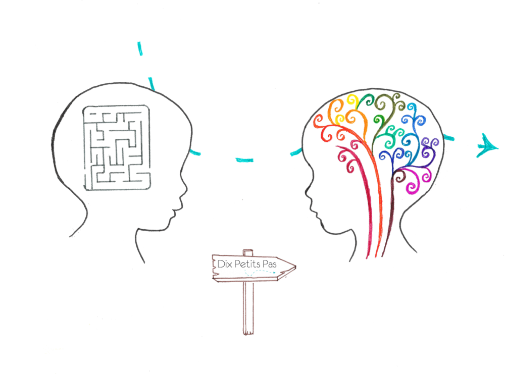 une personne dont le cerveau est un labyrinthe en noir et blanc se projete vers une autre dont le cerveau est empli de connexions colorées illustrant le résultat du travail en psychopédagogie positive